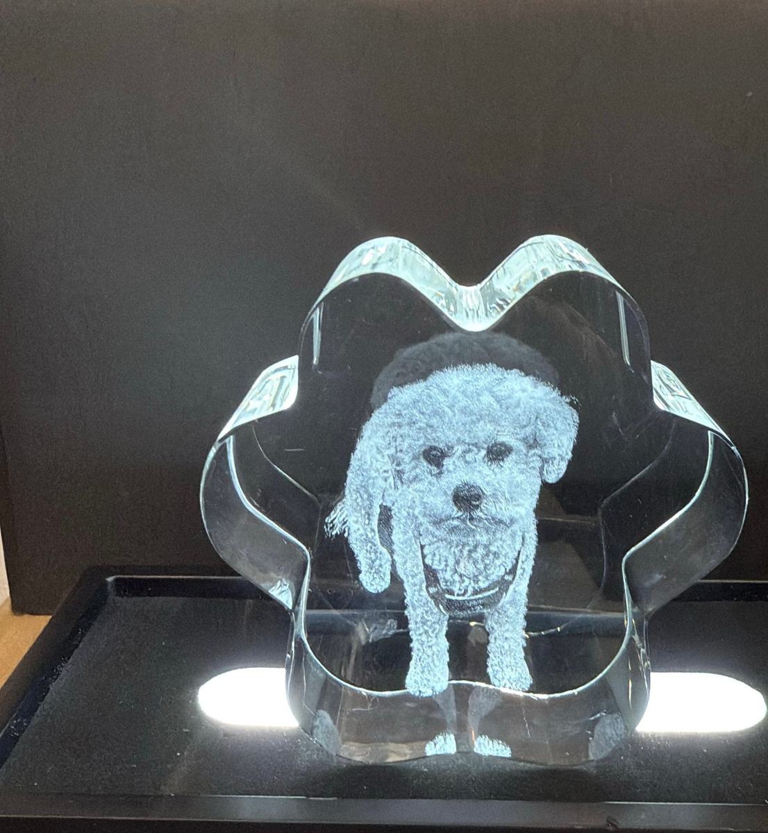 Puppy in flower crystal