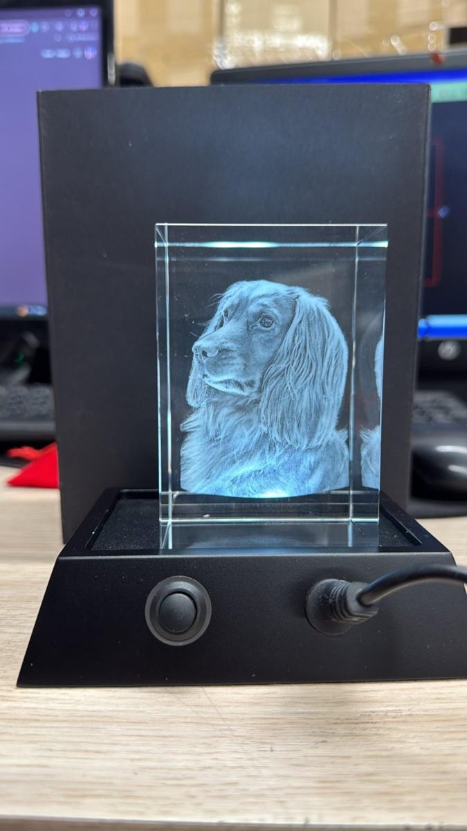 Pet portrait cube