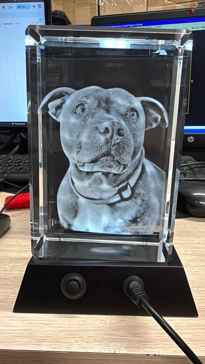 Dog portrait crystal